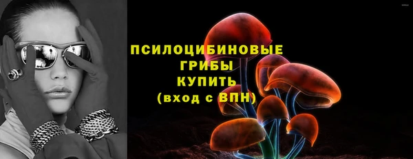мдпв Сясьстрой