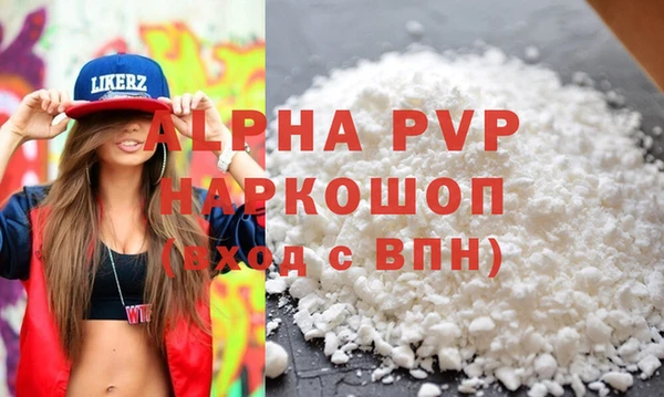 хмурый Саки