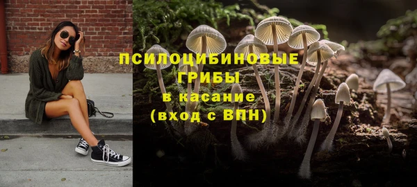 не бодяженный Тобольск